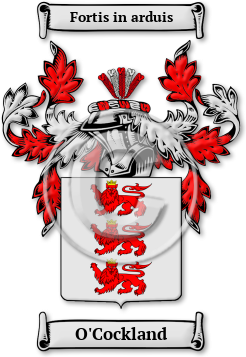 O'Cockland Family Crest Download (jpg) Legacy Series - 150 DPI