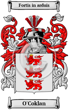 O'Coklan Family Crest Download (JPG) Heritage Series - 300 DPI