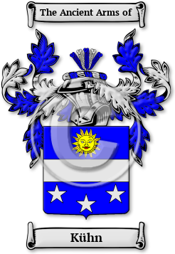 Kühn Family Crest Download (jpg) Legacy Series - 150 DPI