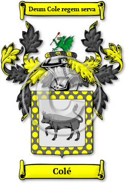 Colé Family Crest Download (JPG) Legacy Series - 600 DPI