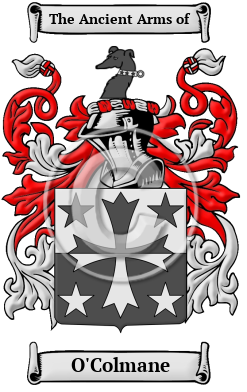 O'Colmane Family Crest Download (JPG) Heritage Series - 300 DPI