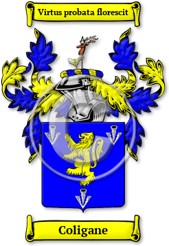 Coligane Family Crest Download (jpg) Legacy Series - 150 DPI