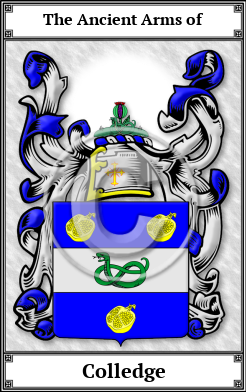 Colledge Family Crest Download (JPG) Book Plated - 600 DPI