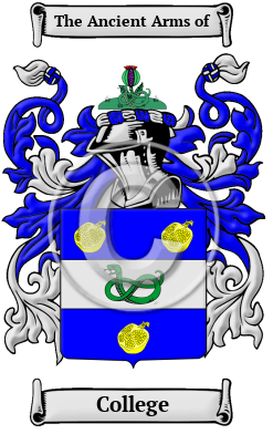 College Family Crest Download (JPG) Heritage Series - 600 DPI