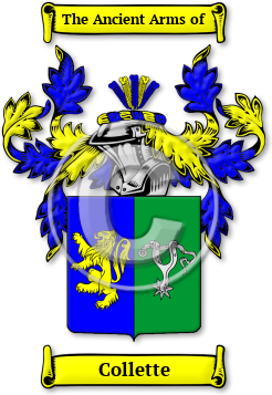 Collette Family Crest Download (JPG) Legacy Series - 600 DPI