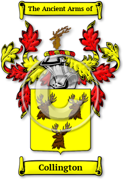 Collington Family Crest Download (jpg) Legacy Series - 150 DPI