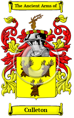 Culleton Family Crest Download (JPG) Heritage Series - 600 DPI