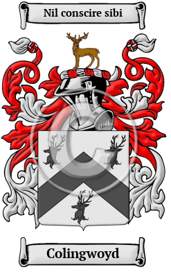 Colingwoyd Family Crest/Coat of Arms