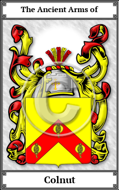 Colnut Family Crest Download (JPG)  Book Plated - 150 DPI