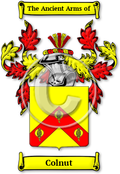 Colnut Family Crest Download (jpg) Legacy Series - 150 DPI
