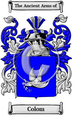 Colom Family Crest Download (JPG) Heritage Series - 600 DPI