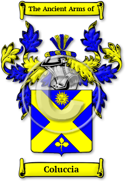 Coluccia Family Crest Download (jpg) Legacy Series - 150 DPI