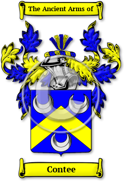 Contee Family Crest Download (jpg) Legacy Series - 150 DPI