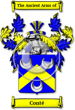 Conté Family Crest Download (jpg) Legacy Series - 150 DPI