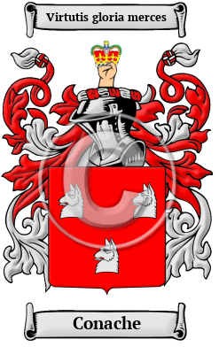 Conache Family Crest Download (JPG) Heritage Series - 600 DPI