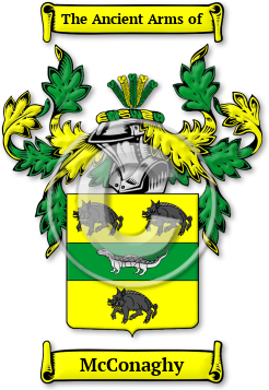 McConaghy Family Crest Download (JPG) Legacy Series - 600 DPI
