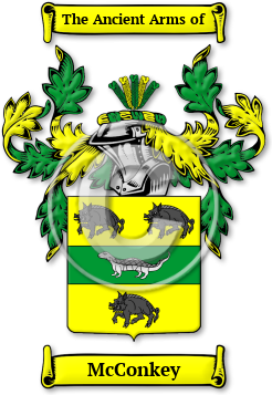 McConkey Family Crest Download (jpg) Legacy Series - 150 DPI