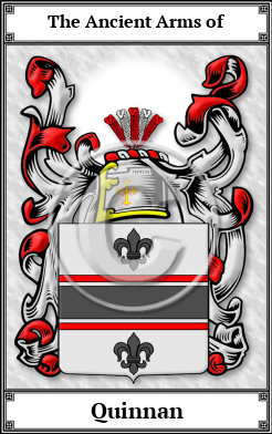 Quinnan Family Crest Download (JPG)  Book Plated - 150 DPI