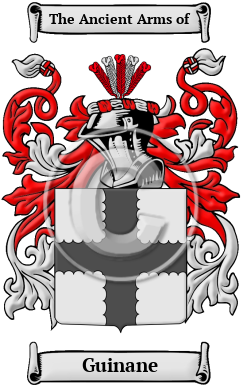 Guinane Family Crest/Coat of Arms