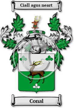 Conal Family Crest Download (jpg) Legacy Series - 150 DPI