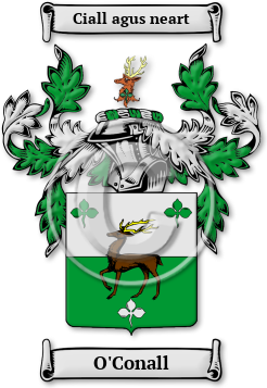 O'Conall Family Crest Download (jpg) Legacy Series - 150 DPI