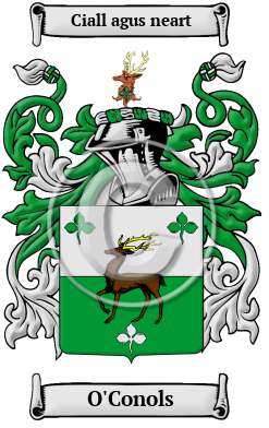 O'Conols Family Crest/Coat of Arms