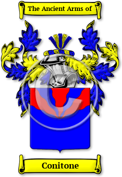 Conitone Family Crest Download (JPG) Legacy Series - 600 DPI