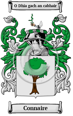 Connaire Family Crest/Coat of Arms