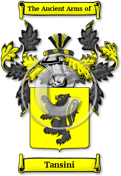 Tansini Family Crest Download (jpg) Legacy Series - 150 DPI