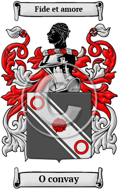 O convay Family Crest/Coat of Arms