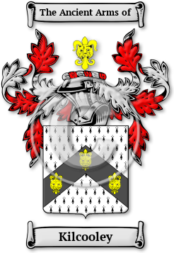 Kilcooley Family Crest Download (jpg) Legacy Series - 150 DPI