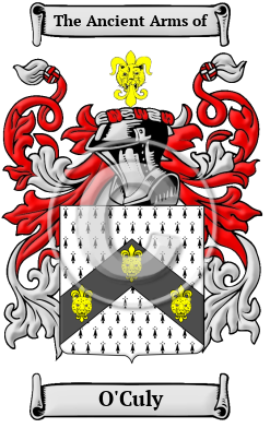 O'Culy Family Crest/Coat of Arms
