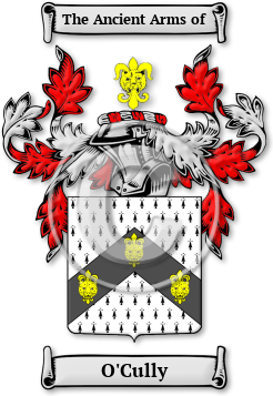 O'Cully Family Crest Download (jpg) Legacy Series - 150 DPI