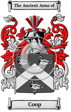 Coop Family Crest Download (JPG) Heritage Series - 600 DPI