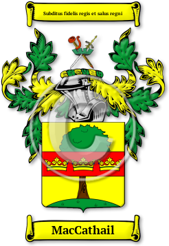 MacCathail Family Crest Download (jpg) Legacy Series - 150 DPI