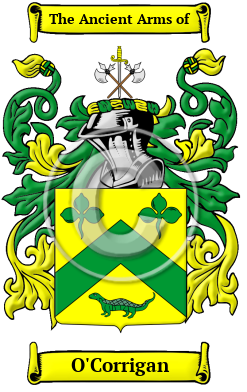 O'Corrigan Family Crest/Coat of Arms