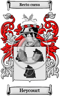 Heycourt Family Crest/Coat of Arms