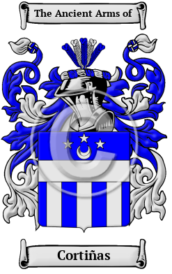 Cortiñas Family Crest/Coat of Arms
