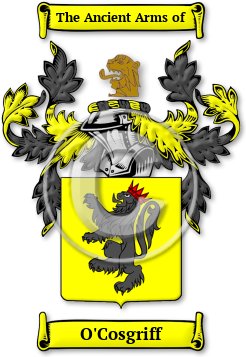 O'Cosgriff Family Crest Download (jpg) Legacy Series - 150 DPI