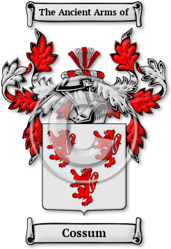 Cossum Family Crest Download (jpg) Legacy Series - 150 DPI