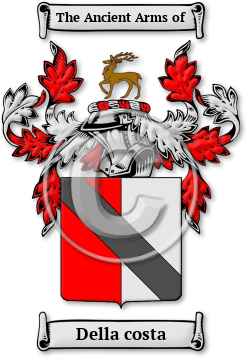 Della costa Family Crest Download (jpg) Legacy Series - 150 DPI