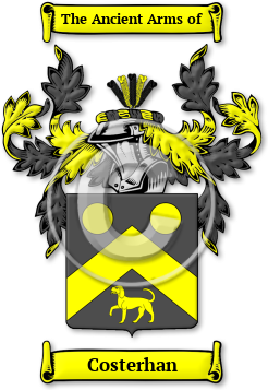 Costerhan Family Crest Download (jpg) Legacy Series - 150 DPI