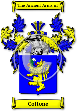 Cottone Family Crest Download (jpg) Legacy Series - 150 DPI