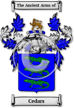 Cedars Family Crest Download (jpg) Legacy Series - 150 DPI