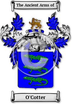 O'Cotter Family Crest Download (jpg) Legacy Series - 150 DPI
