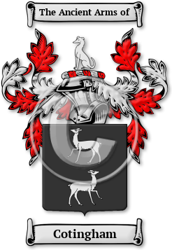 Cotingham Family Crest Download (JPG) Legacy Series - 600 DPI