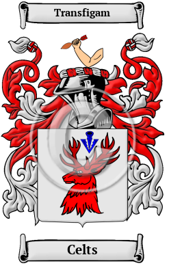 Celts Family Crest Download (JPG) Heritage Series - 600 DPI