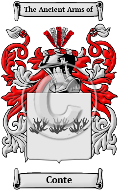 Conte Family Crest Download (JPG) Heritage Series - 600 DPI