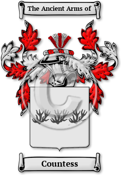 Countess Family Crest Download (JPG) Legacy Series - 600 DPI