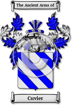 Cuvier Family Crest Download (jpg) Legacy Series - 150 DPI